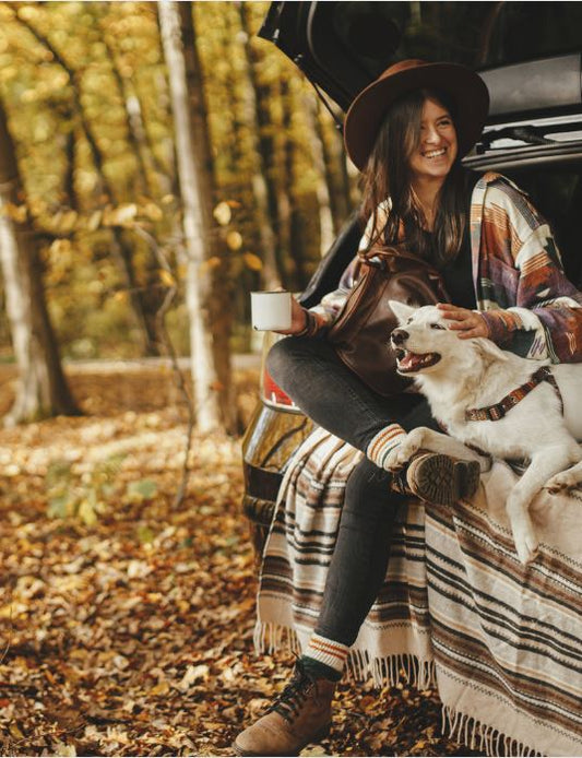 Tips for Traveling with Pets